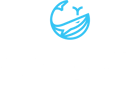 Southern Pumping logo